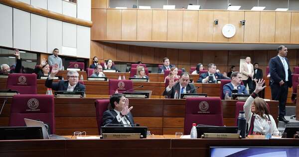 La Nación / Senado dio media sanción a Ley que crea fueros judiciales del ámbito laboral en Paraguarí