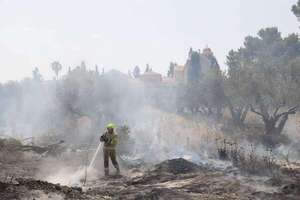Incendios en Jerusalén “están bajo control” - Mundo - ABC Color