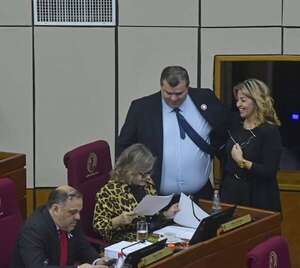 En Senadores reglamentan vetos del Poder Ejecutivo    - Política - ABC Color