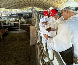 Senacsa acompaña auditoría de Filipinas a frigoríficos para exportación de carne - ADN Digital