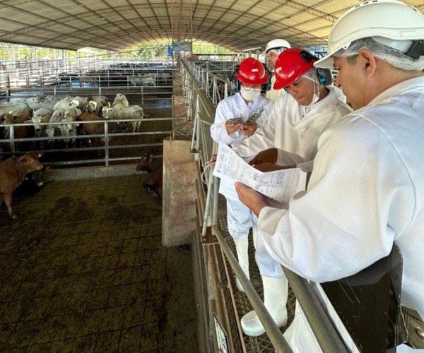 Senacsa acompaña auditoría de Filipinas a frigoríficos para exportación de carne - ADN Digital