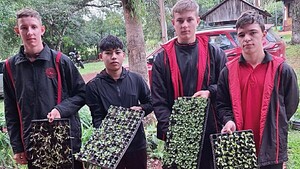 Huertas escolares para una alimentación sana
