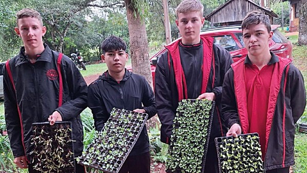 Huertas escolares para una alimentación sana