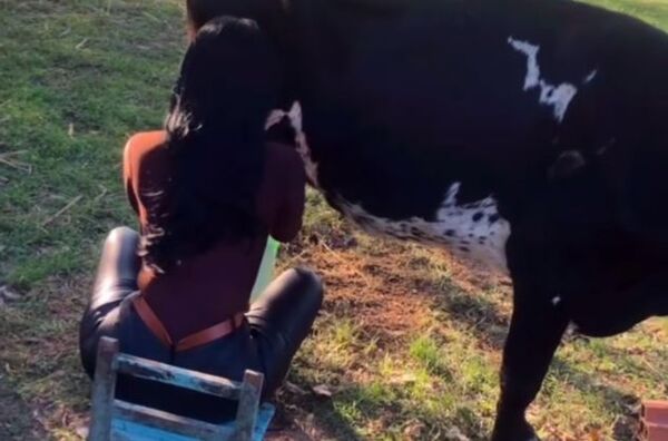 ¡Mañamí… Gloria Vera ordeñando una vaca en su estancia!
