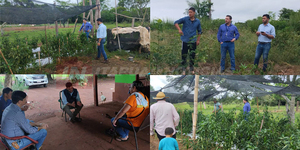 GOBERNACIÓN DE ITAPÚA IMPULSA CON ÉXITO EL PROGRAMA DE AGRICULTURA SOSTENIBLE