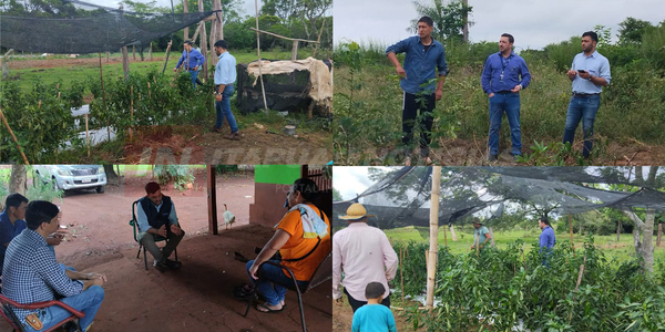 GOBERNACIÓN DE ITAPÚA IMPULSA CON ÉXITO EL PROGRAMA DE AGRICULTURA SOSTENIBLE