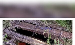 Karai pasó feroz susto tras caer a un pozo ciego