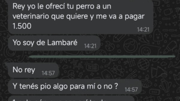 Encontró una perrita, buscó a sus dueños, pero pidió plata a cambio