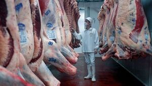 Exportaciones de carne vacuna generaron hasta abril US$ 658 millones, 42% más que el año pasado - .::Agencia IP::.