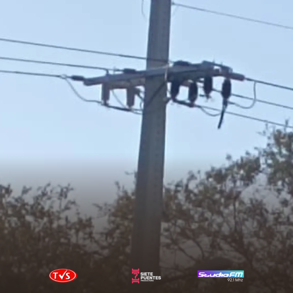 TORO PAMPA SIN ENERGÍA ELÉCTRICA POR MÁS DE 48 HORAS - TVS
