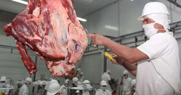 La Nación / Sector cárnico registró incremento en ingresos y volúmenes al cierre de abril