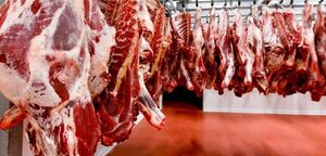 Exportación de carne paraguaya: abril fue el mes más bajo del año en volumen