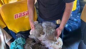 Detenido pasajero en Concepción por transportar Marihuana