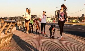 Pronostican jornada agradable para hoy - .::Agencia IP::.