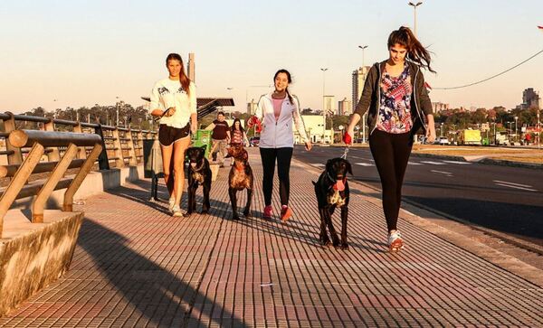 Pronostican jornada agradable para hoy - .::Agencia IP::.