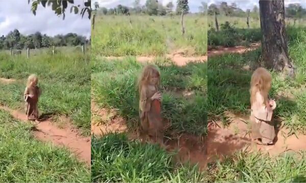 (VIDEO) ¡Miedazo! ¿Grabaron al Jasy Jateré en pleno recorrido?
