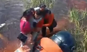 Cinco sobrevivientes tras caída de avioneta en un pantano con caimanes en Bolivia - OviedoPress
