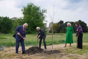 Carlos y Camila plantan un roble con los reyes de Suecia - Gente - ABC Color
