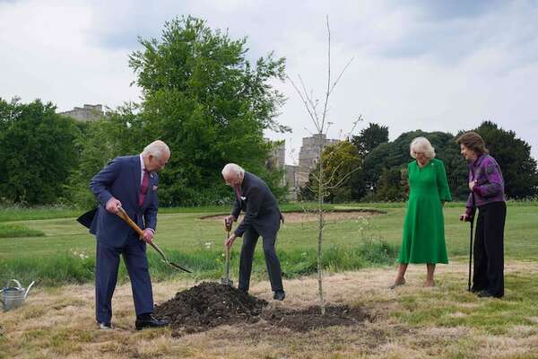 Carlos y Camila plantan un roble con los reyes de Suecia - Gente - ABC Color