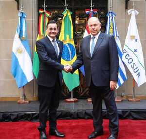 Interés de Argentina y Paraguay en mayor integración física y energética a través del Chaco