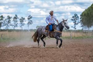 Ferusa remata caballos Criollos montados para trabajo en el 1° remate de La Cautiva Saité, este lunes