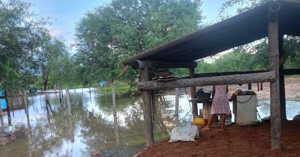 La Nación / Diputados pidió informes sobre impacto productivo por las lluvias en el Chaco