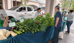 Más de G. 73 millones fue la recaudación en las ferias simultaneas apoyadas por el MAG