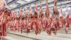 Faena bovina alcanzó más de 171 mil cabezas en abril