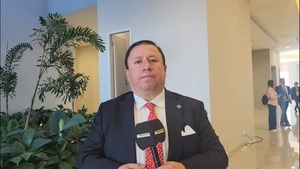 “Corrupción en el servicio público es la que permite que crimen organizado sobreviva” - El Observador