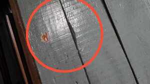 Poderosos narcos mandaron balear humilde subcomisaría de madera