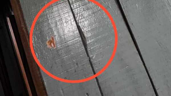 Poderosos narcos mandaron balear humilde subcomisaría de madera