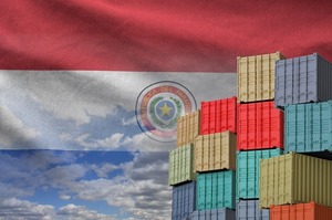 Trámites, licencias y registros: Lo que tenés que saber para exportar e importar en Paraguay - MarketData