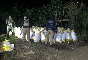 Desmantelan centro logístico de acopio y procesamiento de drogas en Amambay