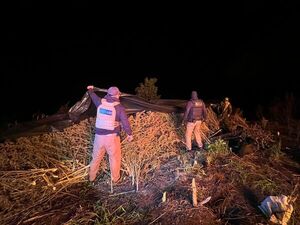 Desmantelan centro de acopio y procesamiento con 18 toneladas de marihuana - .::Agencia IP::.