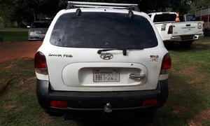 Detienen a abigeo y recuperan un animal vacuno aparentemente robado en Coronel Oviedo - OviedoPress