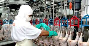 La Nación / Exportación de carne aviar sumó USD 2,9 millones en el primer cuatrimestre