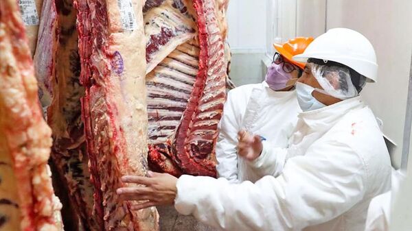 Autoridades japonesas llegan a Brasil para discutir inspección de plantas frigoríficas