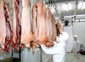 Argentina envió su primer cargamento de carne porcina a Filipinas