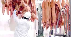 La Nación / El sector porcino exportó 42 % más que el año pasado