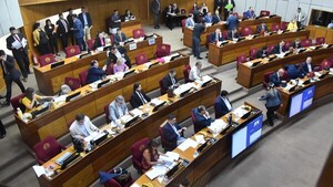 Legisladores con parientes en las binacionales impiden mayor control