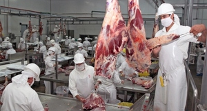 Exportación de carne bovina alcanzó USD 658 millones