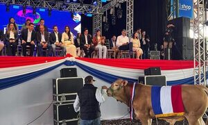 Gobernador de Alto Paraná destacó relevancia económica de la Expo Santa Rita para el país – Diario TNPRESS