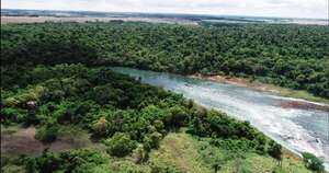 Diario HOY | Paraguay sin un solo foco de calor en áreas protegidas