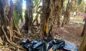 Hallan cadáver en bananal