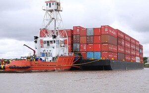 América y Asia, principales destinos de exportaciones bajo el Certificado de Origen - .::Agencia IP::.