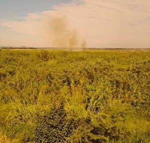 Instan a evitar la quema de pastizales ante persistencia de incendios - Nacionales - ABC Color