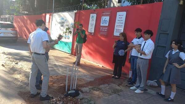 Bosque San Vicente: a 6 meses de su destrucción, vecinos realizan plantatón - Nacionales - ABC Color