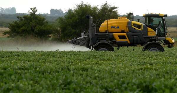 Diario HOY | Proponen cárcel para quienes fumiguen sin respetar zonas protegidas