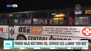 Viceministerio de Transporte analiza el “Oso-bus” del diputado Jatar