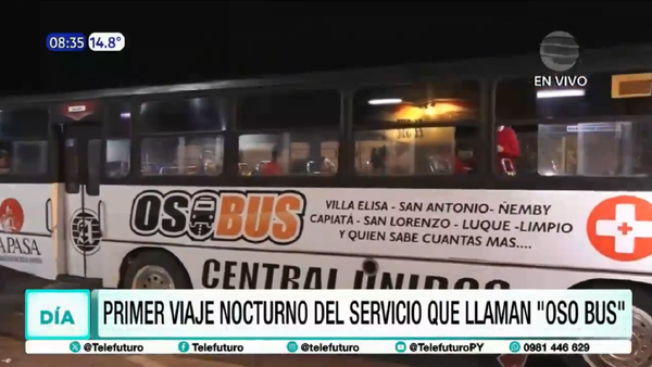 Viceministerio de Transporte analiza el “Oso-bus” del diputado Jatar